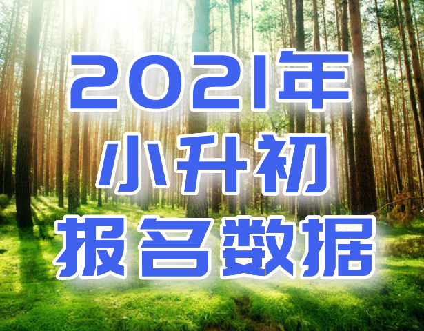 上海择校，2021上海小升初报名数据出炉