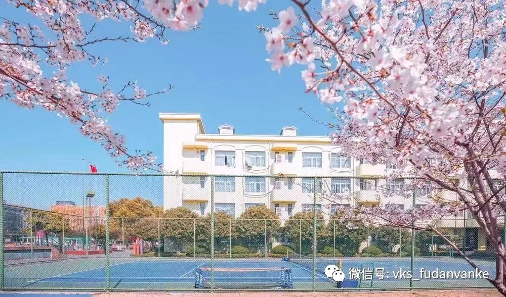 上海市民办德英乐（原复旦万科）实验学校2023学年一年级招生简章