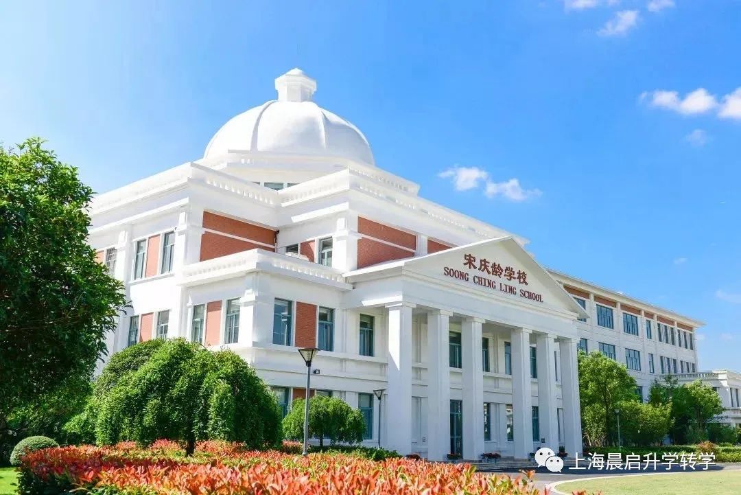 明星孩子在上海都上什么学校