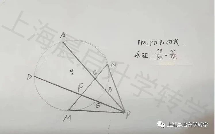 上海四校自招SMK最新考情独家分享