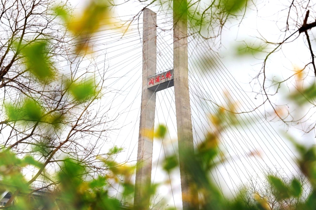 闵行、静安、宝山、松江、崇明小学梯队排名/学校介绍