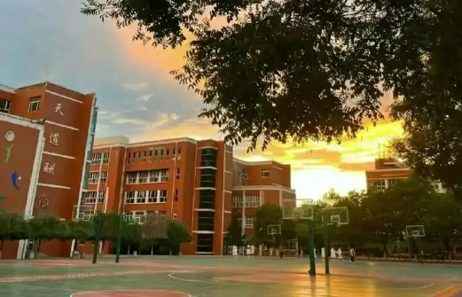 民办小学不得转入！虹口区发布2025年寒假小学生转学通知