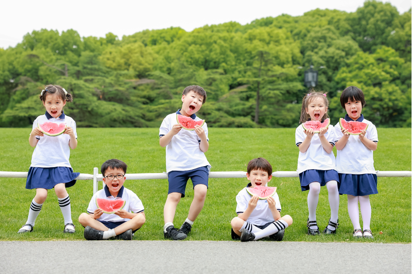 上海幼升小升学择校的五大本质