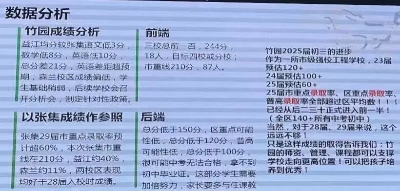 竹园中学：张集平替的崛起之路，是真逆袭还是营销神话？