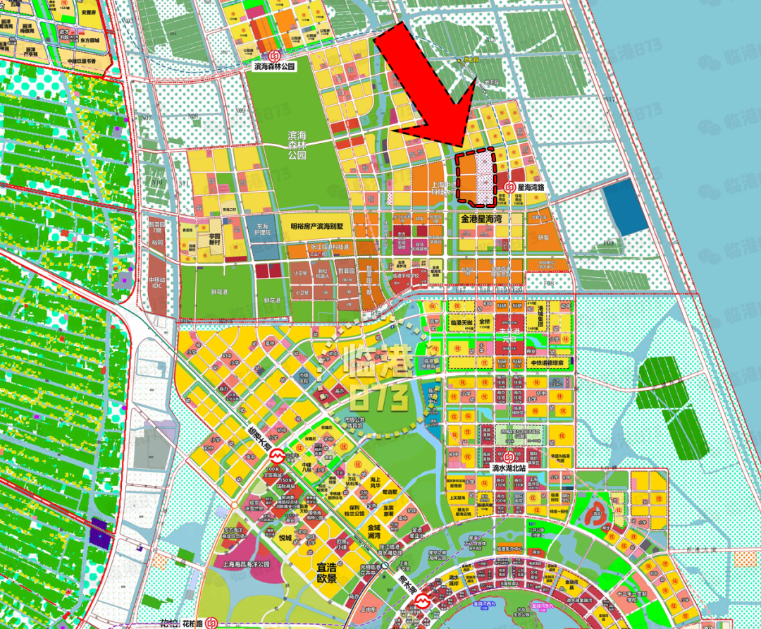 真牛！临港将新增一所985大学！最终选址在......