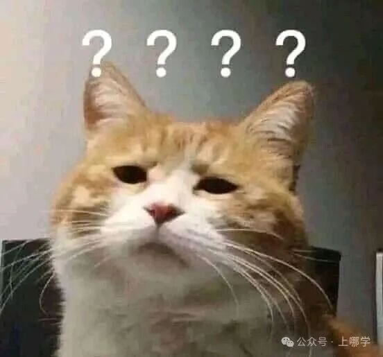 上海高中哪家强？2025年上海高考录取率出炉，本科达线率全国第一！