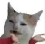 摇号失败后的机会！上海民办学校插班考信息全汇总，附备考建议