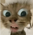 丧心病狂！685分竟然无缘市重点？