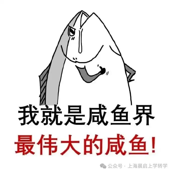 在魔都，菜校和梯队校的差距真有那么大吗？