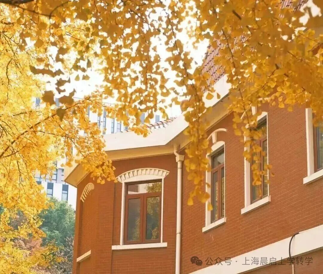 上海升学奇观，新晋学校和老牌名校的鄙视链