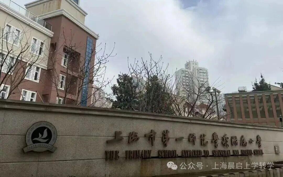明明是全员内卷的静安，谁在传它快乐教育？