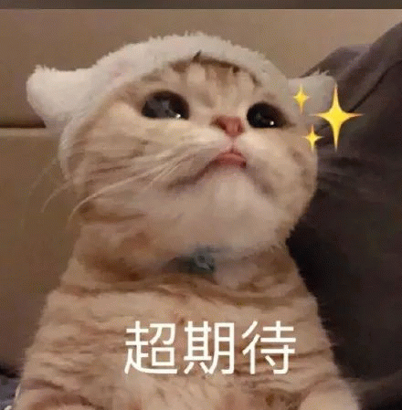 今日之青浦，已非昨日之青浦！2026年青浦区暑期转学政策详细解读