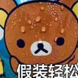 你找的高考志愿专家，其实是卖猪蹄的？上海高考志愿究竟该怎么填
