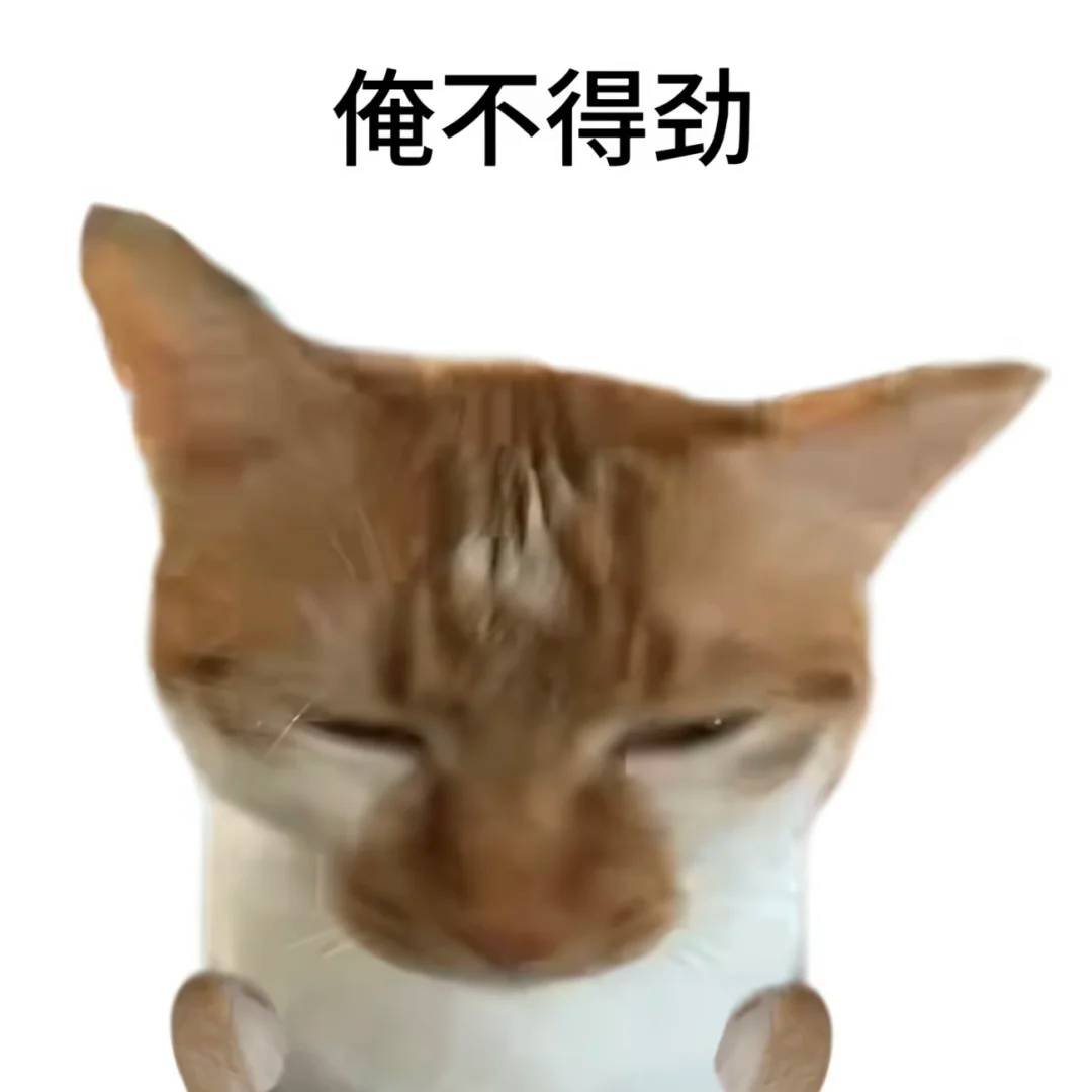 上海一线理到底有哪些？冲四校谁最强？