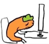 上海中考 数学阅卷有问题？
